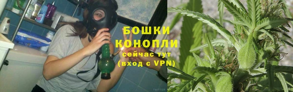 не бодяженный Елабуга
