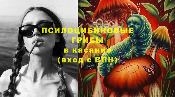 мдпв Ельня
