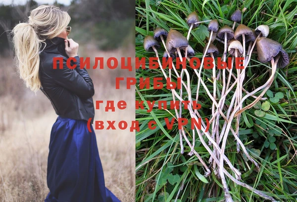 не бодяженный Елабуга