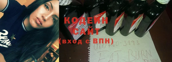 мдпв Ельня