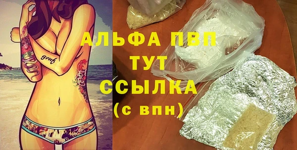 мдпв Ельня