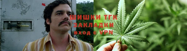 прущие крисы Елизово