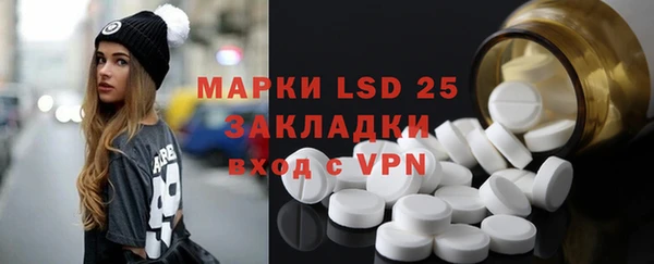 мдпв Ельня