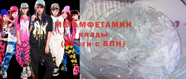 мдпв Ельня