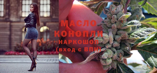мдпв Ельня
