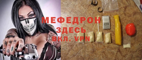 мдпв Ельня