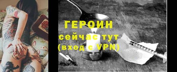 мдпв Ельня