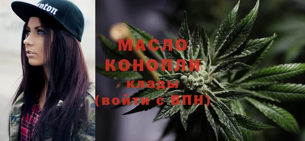 мдпв Ельня